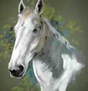 Portrait of Horse