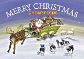 Christmas Cards