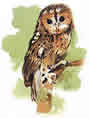 Click to view enlargement